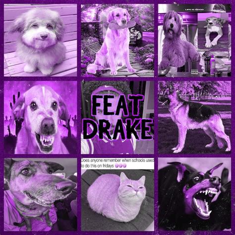 drake for all the dogs wiki|drake for the dogs tracklist.